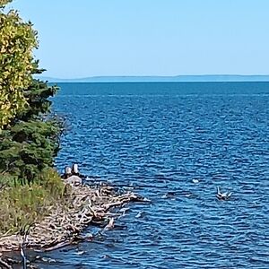 Meet your Posher, Mare